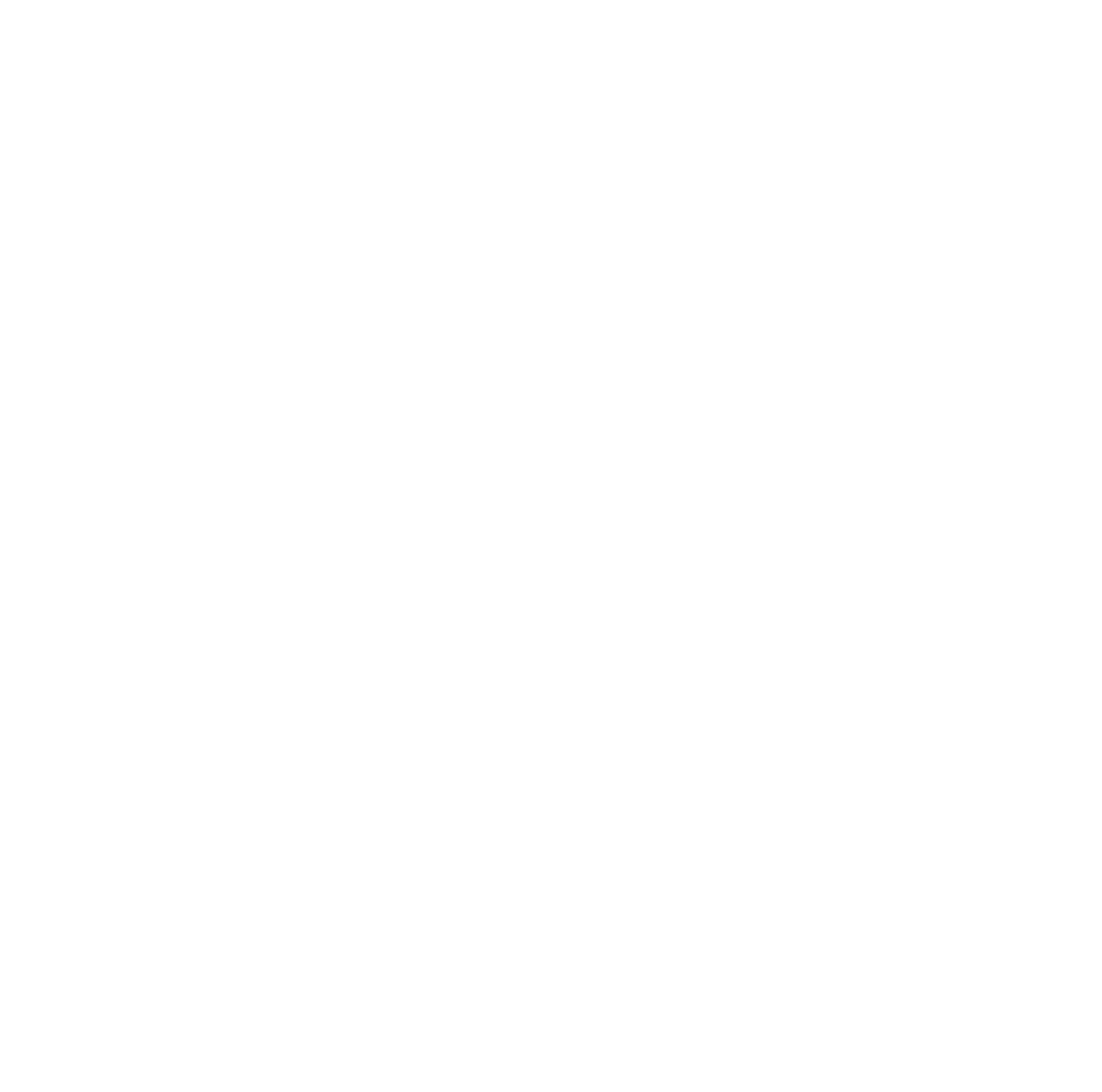FF Veterans Holistic Services Alternate white Logo.