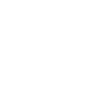FF Veterans Holistic Services